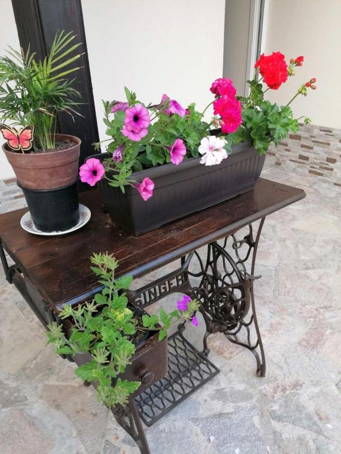 Villa Mareli Carevo Kültér fotó